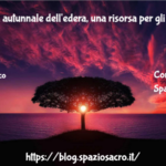 La Fioritura Autunnale Dell'edera, Una Risorsa Per Gli Insetti