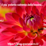 La Frutta E' Il Piu' Potente Solvente Delle Tossine