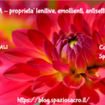 La Malva Proprieta' Lenitive, Emollienti, Antisettiche E Antinfiammatorie