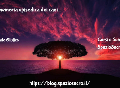 La memoria episodica dei cani 15 La Memoria Episodica Dei Cani