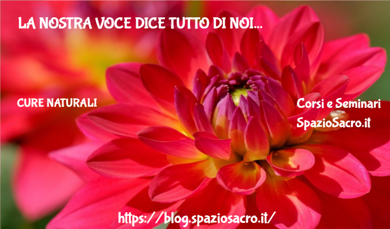 La nostra voce dice tutto di noi 1 La Nostra Voce Dice Tutto Di Noi