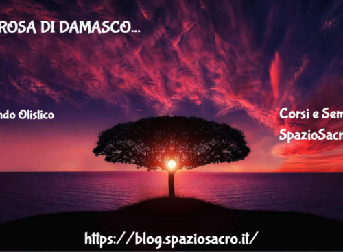La Rosa Di Damasco