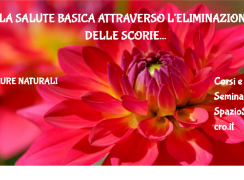 La Salute Basica Attraverso L'eliminazione Delle Scorie