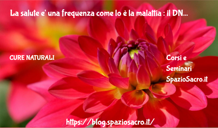 La Salute E' Una Frequenza Come Lo è La Malattia : Il Dna è L'antenna Finale