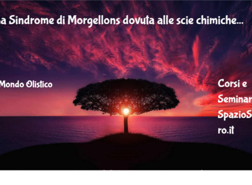 La Sindrome di Morgellons dovuta alle scie chimiche 12 La Sindrome Di Morgellons Dovuta Alle Scie Chimiche