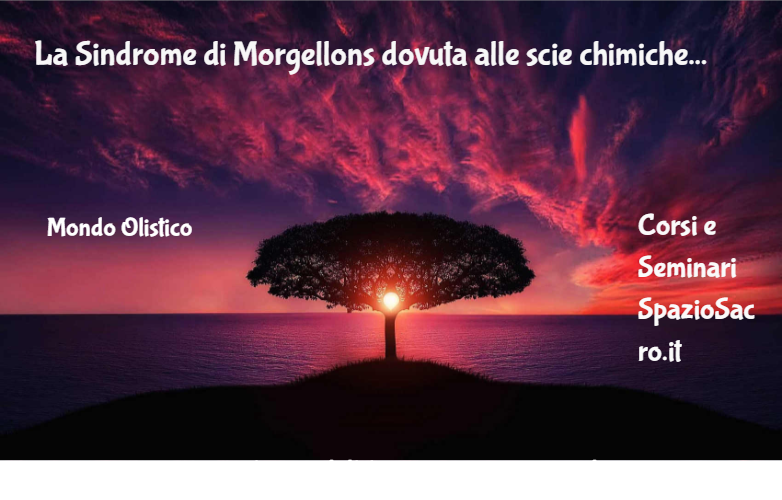 La Sindrome Di Morgellons Dovuta Alle Scie Chimiche
