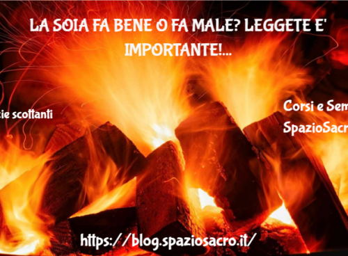 La Soia Fa Bene O Fa Male? Leggete E' Importante!