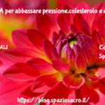 La Taurina Per Abbassare Pressione,colesterolo E Aiutare Sistema Nervoso