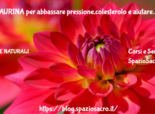 la TAURINA per abbassare pressione,colesterolo e aiutare sistema nervoso 72 La Taurina Per Abbassare Pressione,colesterolo E Aiutare Sistema Nervoso