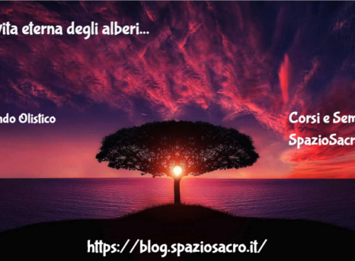 La Vita Eterna Degli Alberi