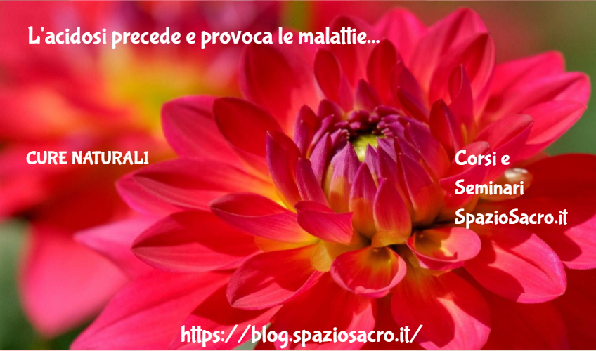 L'acidosi precede e provoca le malattie 1 L'acidosi Precede E Provoca Le Malattie