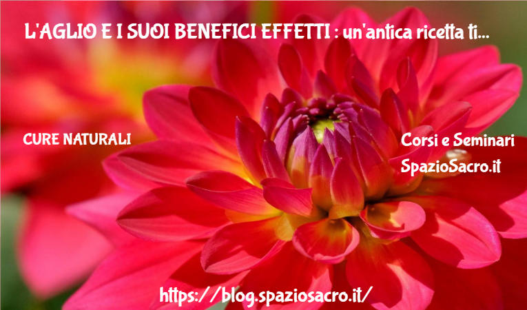L'AGLIO E I SUOI BENEFICI EFFETTI : un'antica ricetta tibetana ! 1 L'aglio E I Suoi Benefici Effetti : Un'antica Ricetta Tibetana !