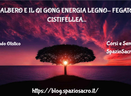 L'albero E Il Qi Gong Energia Legno Fegato E Cistifellea