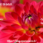Le Bacche Di Goji
