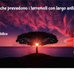 Le Formiche Prevedono I Terremoti Con Largo Anticipo