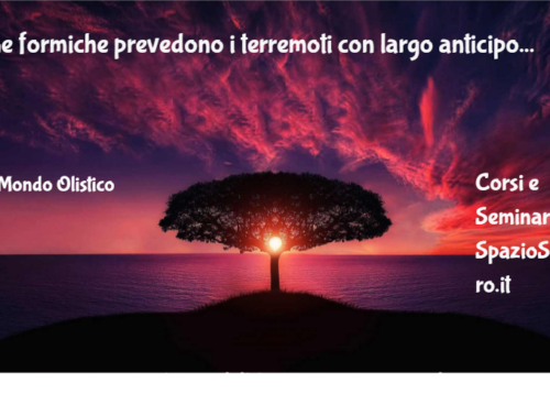 Le formiche prevedono i terremoti con largo anticipo 84 Le Formiche Prevedono I Terremoti Con Largo Anticipo
