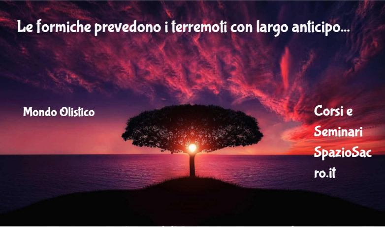 Le formiche prevedono i terremoti con largo anticipo 1 Le Formiche Prevedono I Terremoti Con Largo Anticipo