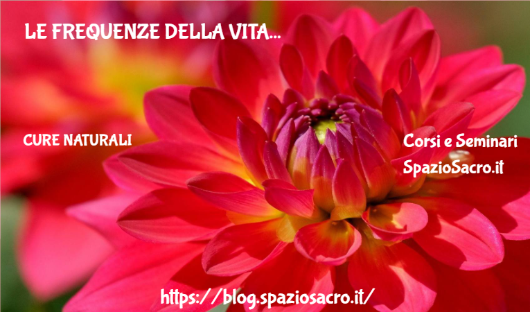 Le Frequenze Della Vita