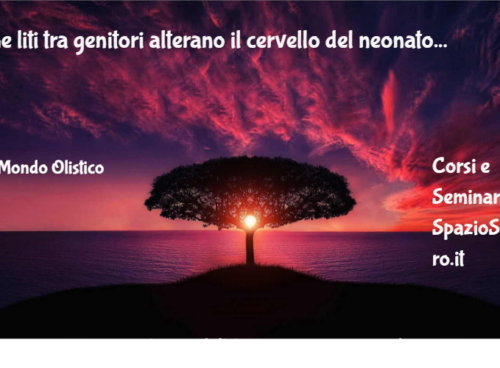 Le liti tra genitori alterano il cervello del neonato 92 Le Liti Tra Genitori Alterano Il Cervello Del Neonato