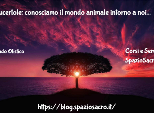 Le Lucertole: Conosciamo Il Mondo Animale Intorno A Noi