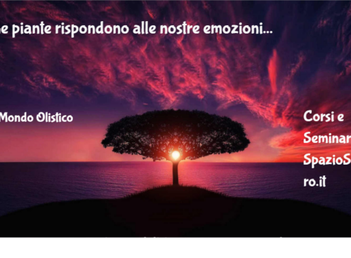 Le Piante Rispondono Alle Nostre Emozioni