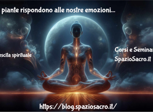 Le Piante Rispondono Alle Nostre Emozioni