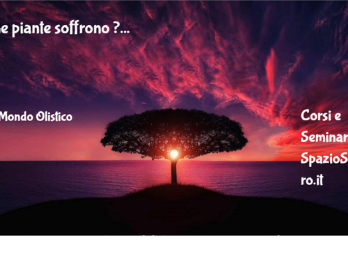 Le Piante Soffrono ?