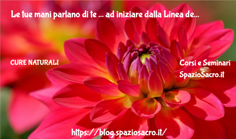 Le Tue Mani Parlano Di Te ... Ad Iniziare Dalla Linea Del Cuore ...