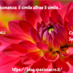 Legge Di Risonanza: Il Simile Attrae Il Simile