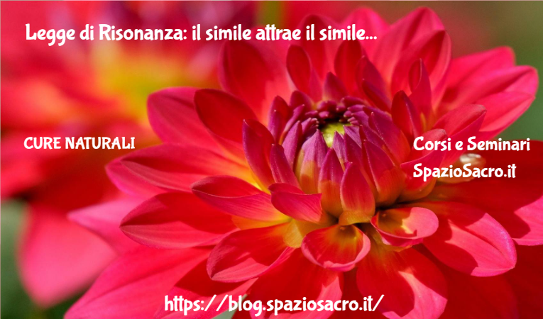 Legge di Risonanza: il simile attrae il simile 1 Legge Di Risonanza: Il Simile Attrae Il Simile