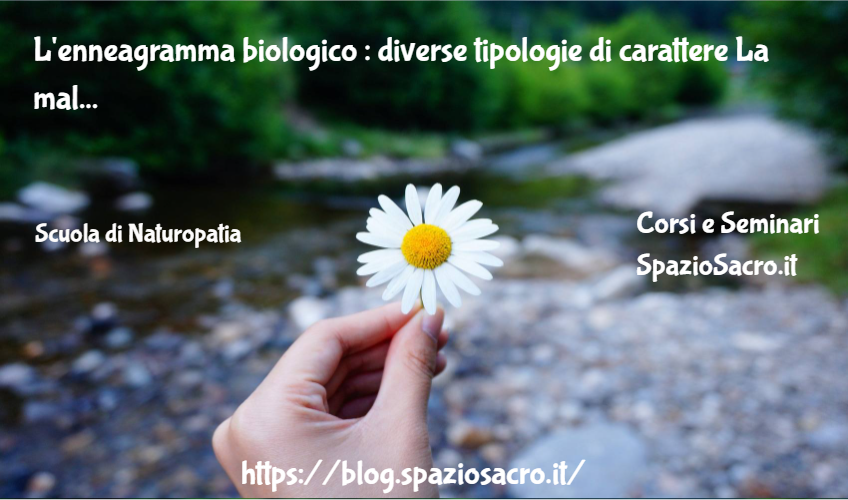 L'enneagramma Biologico : Diverse Tipologie Di Carattere La Malattia In Funzione Della Personalita'