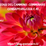L'estasi Del Cammino : Comminare Con Consapevolezza E Attenzione E' Una Trasformazione Incredibile