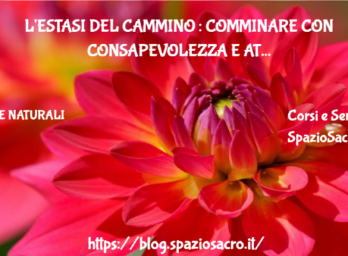 L'estasi Del Cammino : Comminare Con Consapevolezza E Attenzione E' Una Trasformazione Incredibile