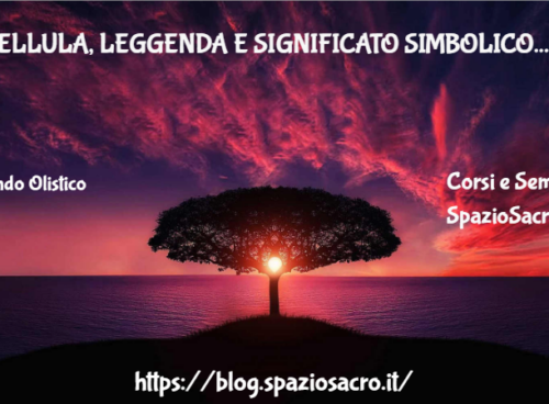 Libellula, leggenda e significato simbolico 7 Libellula, Leggenda E Significato Simbolico