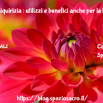 Libido : Liquirizia : Utilizzi E Benefici Anche Per La Libido Femminile