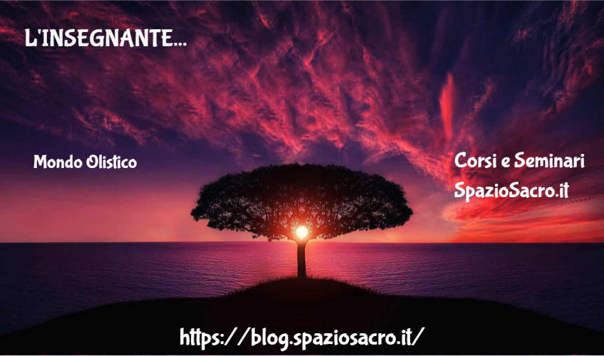 L'insegnante 1 L'insegnante