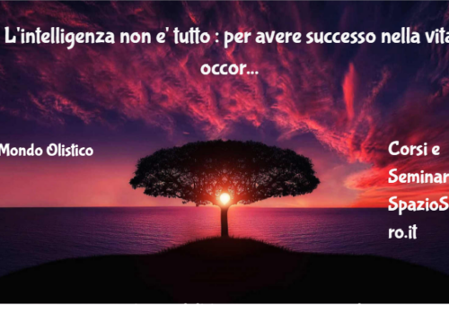 L'intelligenza Non E' Tutto : Per Avere Successo Nella Vita Occorrono Altre Forme Di Intelligenza ...