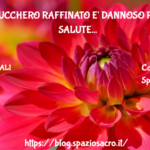 Lo zucchero raffinato e' dannoso per la salute 2 Lo Zucchero Raffinato E' Dannoso Per La Salute