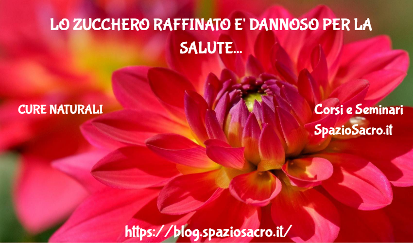 Lo zucchero raffinato e' dannoso per la salute 1 Lo Zucchero Raffinato E' Dannoso Per La Salute