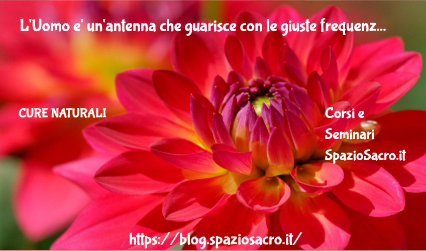 L'uomo E' Un'antenna Che Guarisce Con Le Giuste Frequenze?