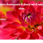 Magnesio: Aximagnesio 8 diversi sali di magnesio e vitamina B6 3 Magnesio: Aximagnesio 8 Diversi Sali Di Magnesio E Vitamina B6