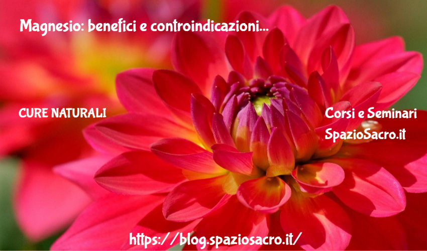 Magnesio: benefici e controindicazioni 1 Magnesio: Benefici E Controindicazioni