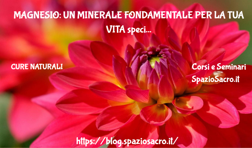 Magnesio: un minerale fondamentale per la tua vita 1 Magnesio: Un Minerale Fondamentale Per La Tua Vita Specie In Quest
