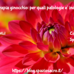 Magnetoterapia ginocchio: per quali patologie e' indicata 2 Magnetoterapia Ginocchio: Per Quali Patologie E' Indicata