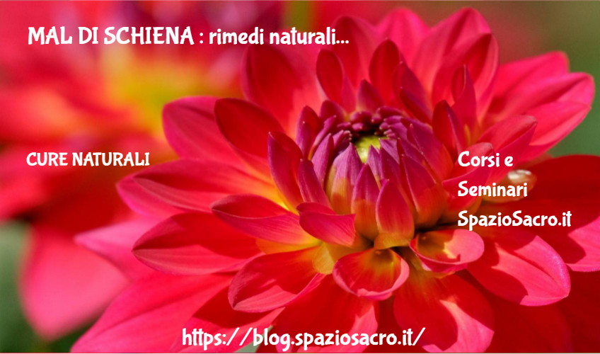 Mal Di Schiena : Rimedi Naturali