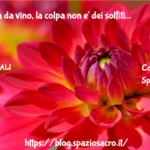 Mal Di Testa Da Vino, La Colpa Non E' Dei Solfiti