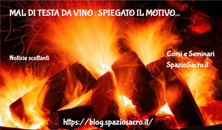 Mal di testa da vino : spiegato il motivo 1 Mal Di Testa Da Vino : Spiegato Il Motivo