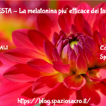 MAL DI TESTA - La melatonina piu' efficace dei farmaci nel trattare l'emicrania 3 Mal Di Testa La Melatonina Piu' Efficace Dei Farmaci Nel Trattare L'emicrania
