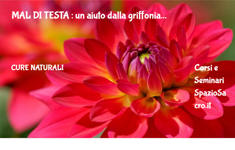 Mal Di Testa : Un Aiuto Dalla Griffonia
