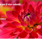 maschere per il viso naturali 3 Maschere Per Il Viso Naturali